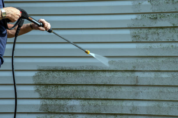 Spring Cleaning in Temple Terrace, FL