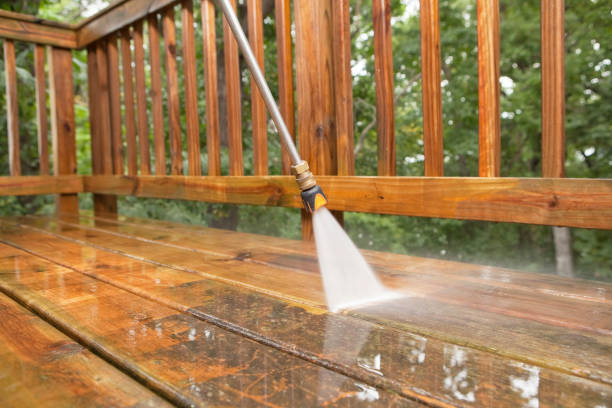 Best Dumpster Area Cleaning  in Temple Terrace, FL