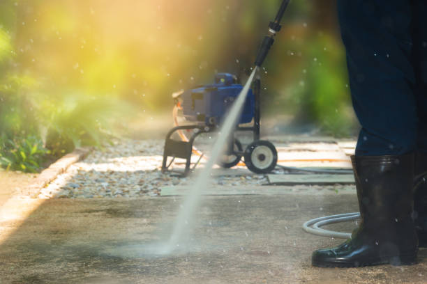 Best Solar Panel Cleaning  in Temple Terrace, FL